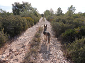 Wanderweg entlang der Kste