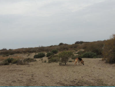 Cabo de Gata 2014