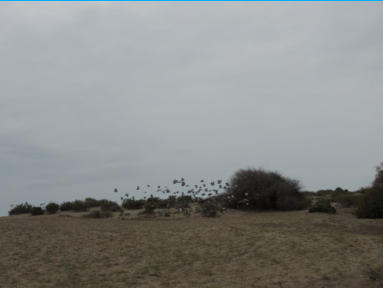 Cabo de Gata 2014